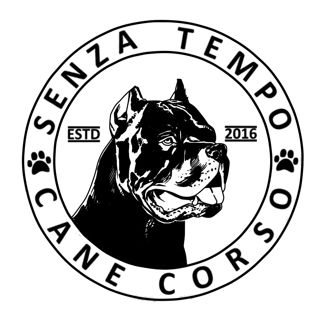 SMURF X DOBRE Senza Tempo Cane Corso
